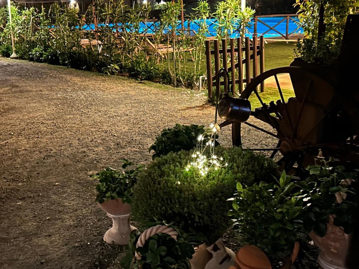 Fattoria Palazzeta - Pet & Family Friendly Aparthotel Cecina  Exterior photo