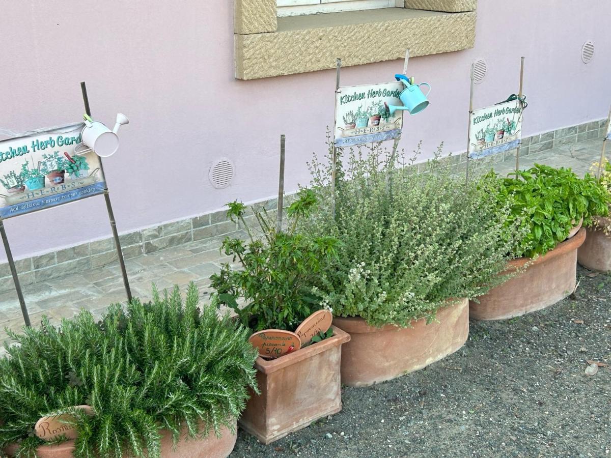 Fattoria Palazzeta - Pet & Family Friendly Aparthotel Cecina  Exterior photo